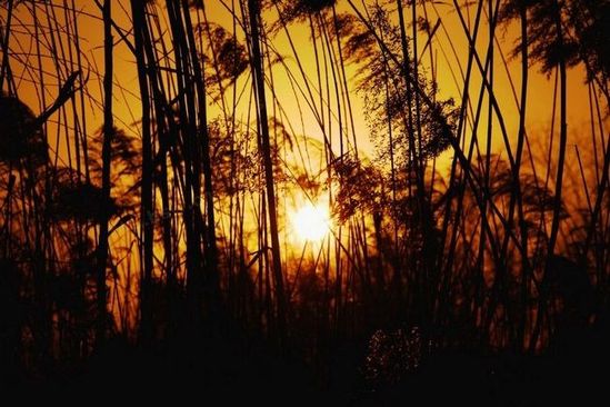 夕陽(yáng)無(wú)限好 西安不可錯(cuò)過(guò)的夕照勝景地 夕陽(yáng)無(wú)限好 西安不可錯(cuò)過(guò)的夕照勝景地