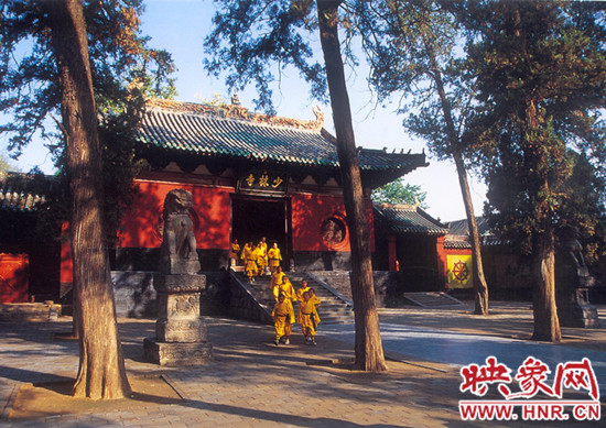 嵩山紅葉:中原第一紅葉 金秋游覽休閑最強攻略 嵩山紅葉:中原第一紅葉 金秋游覽休閑最強攻略