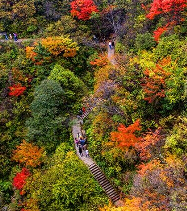 河南邀北京APEC黃金周免費(fèi)暢享好空氣 河南邀北京APEC黃金周免費(fèi)暢享好空氣