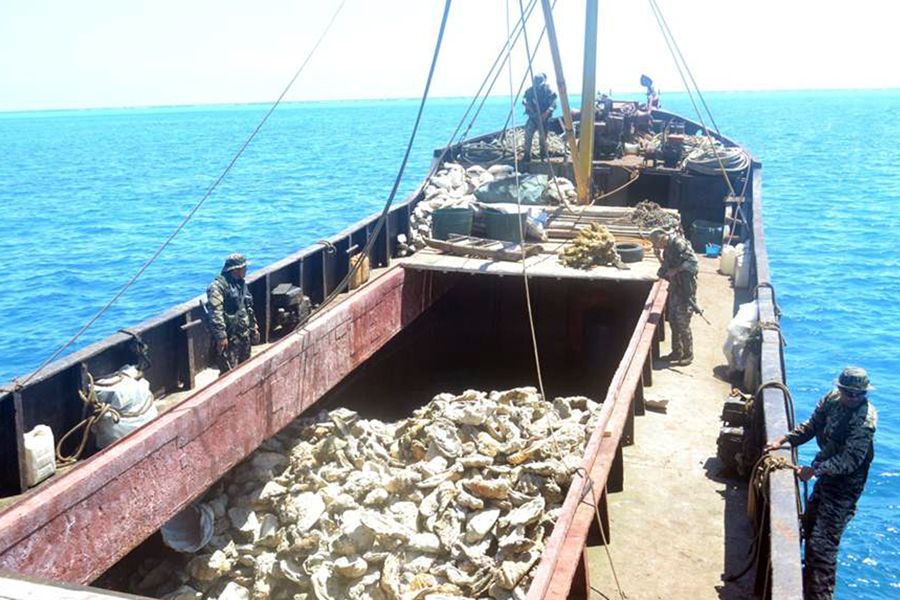 被檢查的中國(guó)漁船被菲方指控為非法捕魚。圖為菲律賓海軍持槍檢查中國(guó)漁民的照片。