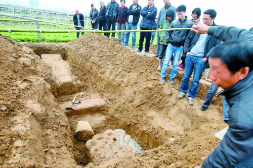 碑帽、赑屃、碑座、碑身依次排開