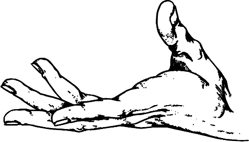 　時間：拿到通知書，未報到就可申請