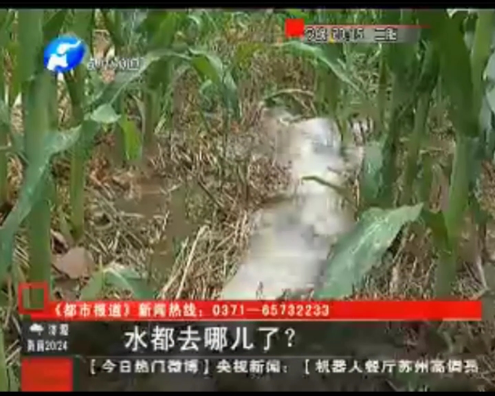 水都去哪了？