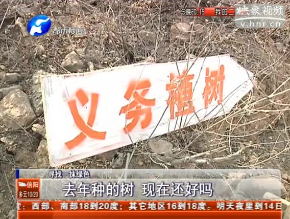 去年種的樹 現(xiàn)在還好嗎？