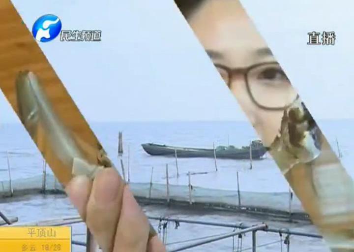 陽(yáng)澄湖大閘蟹？假的！