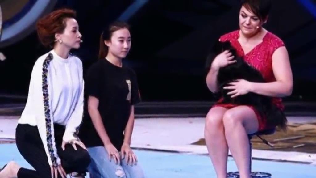 又當(dāng)托？ 董卿節(jié)目現(xiàn)場當(dāng)眾對狗下跪稱被催眠