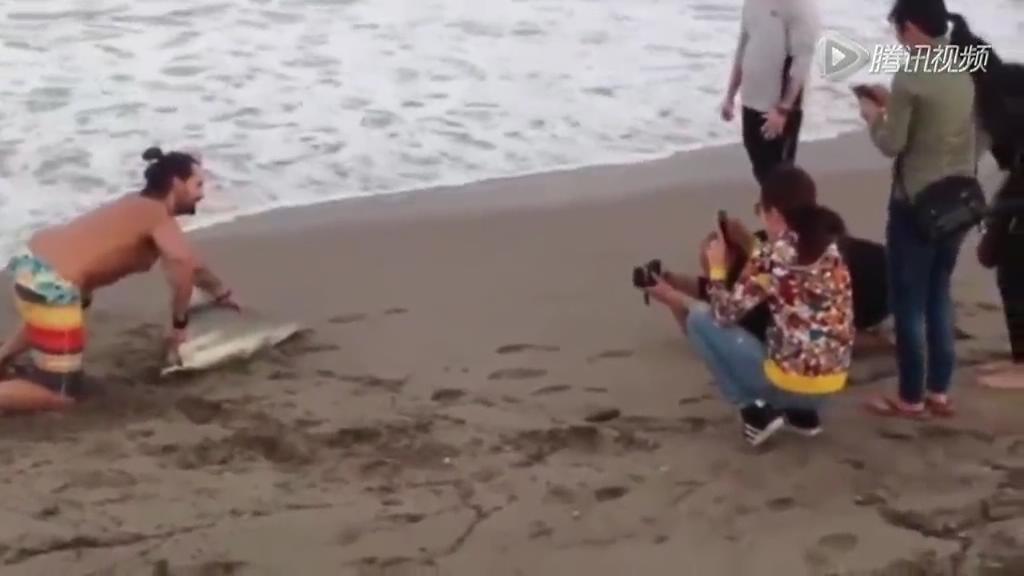 實拍男子將擱淺鯊魚強(qiáng)行拖上岸合照