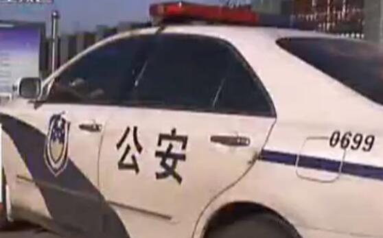 車內暗藏紙箱 民警開箱后震驚了