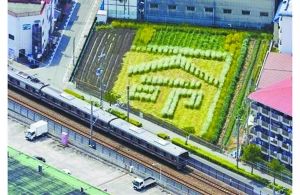 日本2005年列車事故現(xiàn)場(chǎng)附近的一塊農(nóng)田里勾勒出一個(gè)“命”字，以警世人。