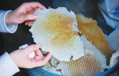 低價(jià)蜂蜜 低價(jià)蜂蜜