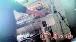 工作人員正在為“土雞蛋”噴日期碼。