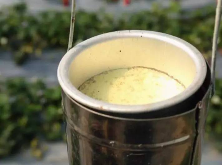 硫磺熏蒸燈來殺菌 硫磺熏蒸燈來殺菌