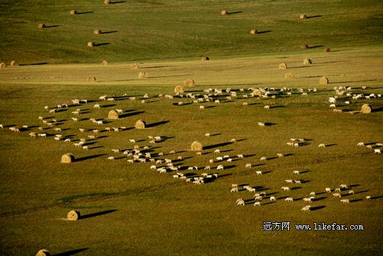 額爾古納大草原 作者:歐陽(yáng)攝影 額爾古納大草原 作者:歐陽(yáng)攝影